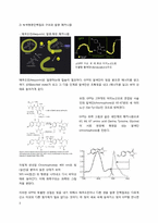 [응용분자생물학] 녹색형광단백질에 대하여-3