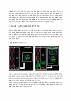 [응용분자생물학] 녹색형광단백질에 대하여-4