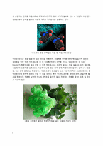 [응용분자생물학] 녹색형광단백질에 대하여-8