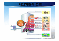 [화학공학] 자동차 연료의 변천과 향후 대책-3