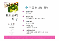[영유아 건강교육] 영유아에게 좋은 식품-브로콜리-7