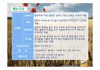 [사업계획서] 시리얼 바 & 전문 체형관리 맞춤 식단 제공 서비스 업 소자본 창업 계획서-11