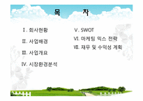 [사업계획서] 실버산업-노인을 위한 맞춤식 웰빙 식사 배달업 창업계획서-2