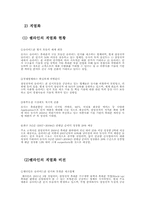 [생산관리] 쉘라인 중소기업 생산전략-4