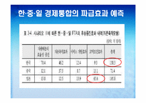 한,중,일 경제통합 가능성과 그에 따른 경제적 파급효과 예측-19
