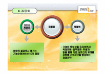 [생산관리] 쉘라인 중소기업 생산전략-4
