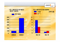 [생산관리] 쉘라인 중소기업 생산전략-11