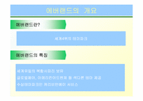 서비스 성공사례 -삼성에버랜드-7