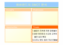 서비스 성공사례 -삼성에버랜드-13