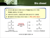 [화학공학] Bio Diesel 사업성 검토-5