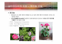[화학공학] 인체에 무해한 모기 방지용 비누-12