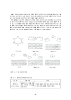 의사결정집단 레포트-9