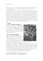 한국전쟁기간의 민간인 학살과 진상규명운동-9