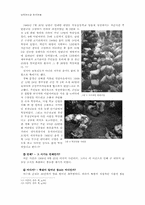한국전쟁기간의 민간인 학살과 진상규명운동-10