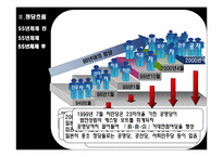 일본의 정당 레포트-13