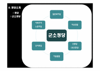 일본의 정당 레포트-16