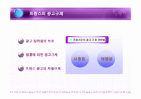 프랑스 광고의 특징과 현황-4