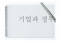기업과 정부 관계-1