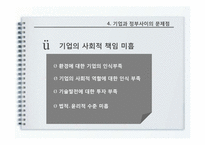 기업과 정부 관계-12