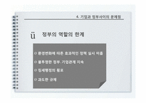 기업과 정부 관계-13