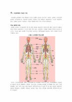 [운동과 건강] 근,골격계 질환의 운동처방-2