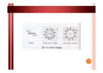 [조리원리] 유지의 조리적 성질-5