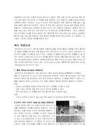 배드민턴의 소개와 복식포메이션-6