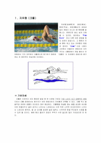 수영영법 레포트-2
