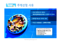 오션월드 마케팅전략분석 파워포인트-2