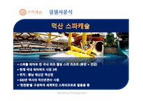 오션월드 마케팅전략분석 파워포인트-13