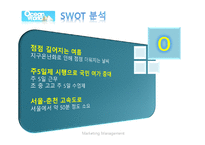 오션월드 마케팅전략분석 파워포인트-17