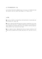 [해외투자론] 인도네시아 시장진출을 위한 투자전망 분석-10
