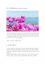 [관광학] 우리나라 꽃 축제(진달래, 개나리, 철쭉, 벚나무) 조사-2