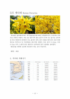 [관광학] 우리나라 꽃 축제(진달래, 개나리, 철쭉, 벚나무) 조사-12