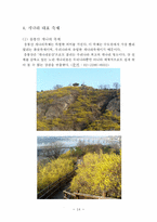 [관광학] 우리나라 꽃 축제(진달래, 개나리, 철쭉, 벚나무) 조사-14