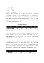 [국제경영] 이니스프리 사우디 시장 진출 전략-3