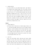 [국제경영] 이니스프리 사우디 시장 진출 전략-14