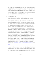 [국제경영] 이니스프리 사우디 시장 진출 전략-15