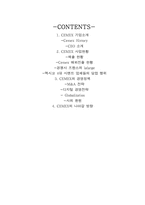 [국제경영] 시멕스(Cemex) 경영전략 및 사회환원활동 조사-2