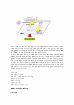 [국제문화] 히스패닉 아메리카 사회와 문화 - 중남미 마약 & 멕시코 국경지대-8