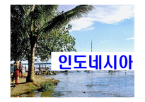 [국제경영] 인도네시아 경제현황 및 LG전자, 미원 진출 사례 분석-1