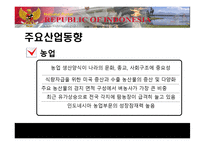 [국제경영] 인도네시아 경제현황 및 LG전자, 미원 진출 사례 분석-14