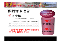 [국제경영] 인도네시아 경제현황 및 LG전자, 미원 진출 사례 분석-16