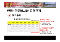 [국제경영] 인도네시아 경제현황 및 LG전자, 미원 진출 사례 분석-20