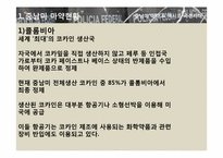 [국제문화] 히스패닉 아메리카 사회와 문화 - 중남미 마약 & 멕시코 국경지대-3