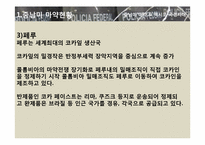 [국제문화] 히스패닉 아메리카 사회와 문화 - 중남미 마약 & 멕시코 국경지대-5