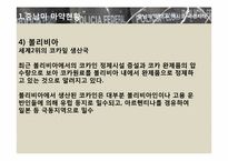 [국제문화] 히스패닉 아메리카 사회와 문화 - 중남미 마약 & 멕시코 국경지대-6