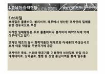 [국제문화] 히스패닉 아메리카 사회와 문화 - 중남미 마약 & 멕시코 국경지대-7