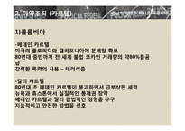 [국제문화] 히스패닉 아메리카 사회와 문화 - 중남미 마약 & 멕시코 국경지대-8