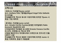 [국제문화] 히스패닉 아메리카 사회와 문화 - 중남미 마약 & 멕시코 국경지대-10